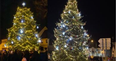 Benátky nad Jizerou, zleva - vánoční strom Husovo náměstí, vánoční strom Na Burze, Foto: Zuzana Kodrlová Zelenková