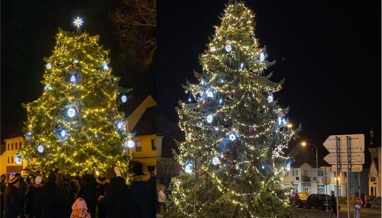 Benátky nad Jizerou, zleva - vánoční strom Husovo náměstí, vánoční strom Na Burze, Foto: Zuzana Kodrlová Zelenková